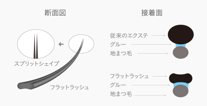 断面図　接着面