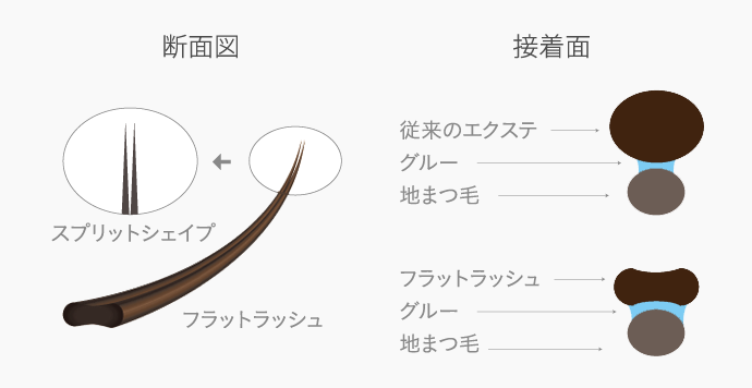 断面図　接着面